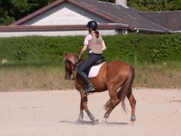 IMG_5563_web